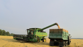 Путин: урожай зерна-2022 станет рекордным за всю историю России